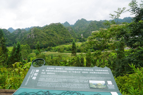 Jinxiu Farmland surrounded by karst peaks at Wanfenglin