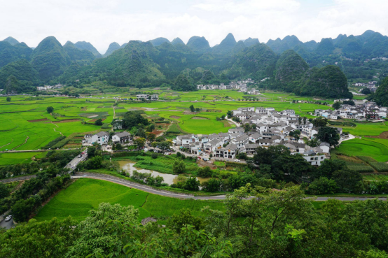 Bagua-style farmland among the karst peaks of Wanfenglin