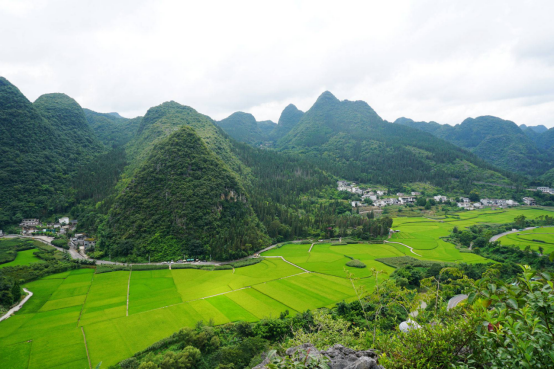 Panoramic view from a high viewpoint at Wanfenglin