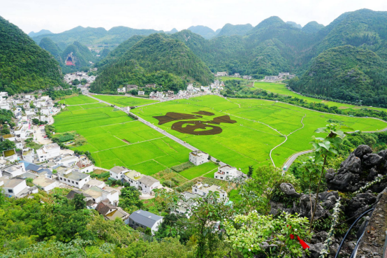 Karst mountains and farmland viewed from Wanfenglin