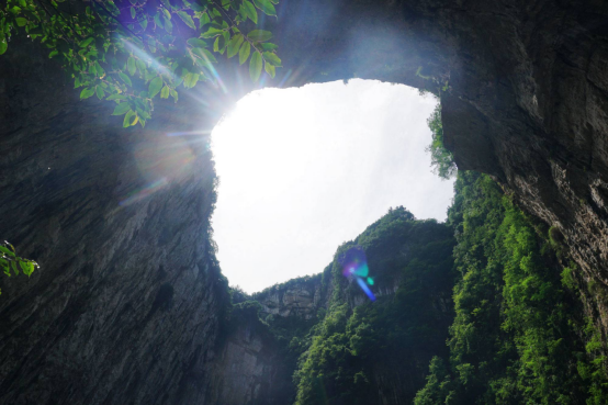 Looking up from a karst sinkhole in Zhijin Grand Canyon