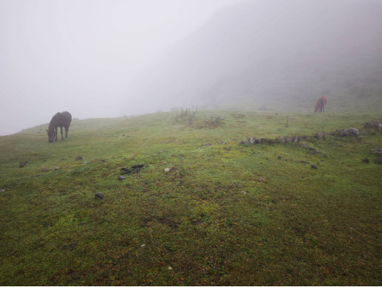 Foggy grassland landscape at Guanyintai