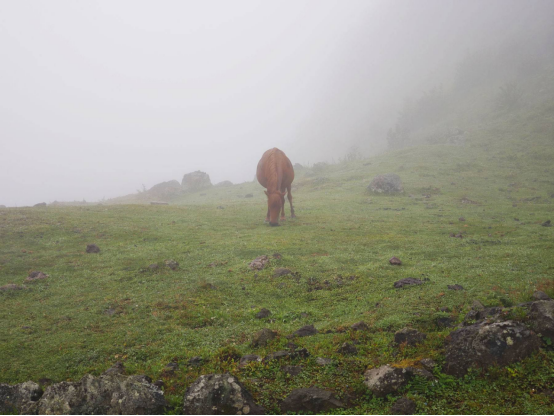 Sea of fog over Wumeng Grassland