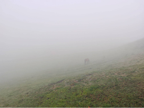 Misty hiking trail at Wumeng Grassland