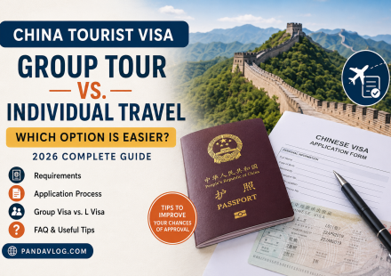 China Tourist Visa Group Tour vs Individual Travel Guide 2026