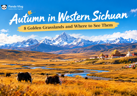 Golden autumn grasslands with snow mountains and Tibetan scenery in western Sichuan, China