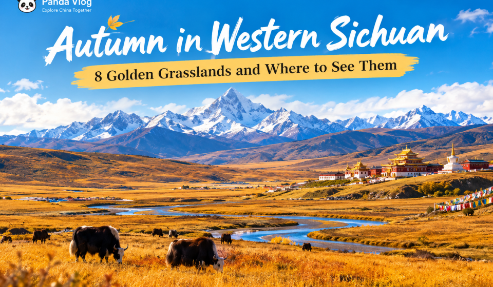 Golden autumn grasslands with snow mountains and Tibetan scenery in western Sichuan, China