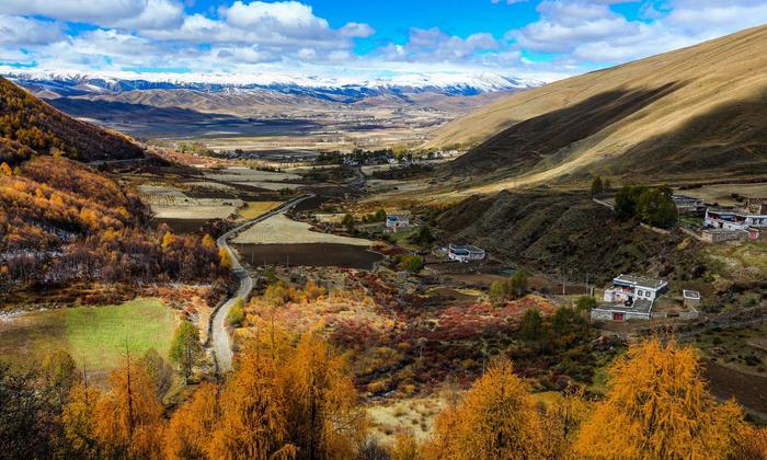 Autumn in Western Sichuan: 8 Golden Highland Grasslands & Where to Visit