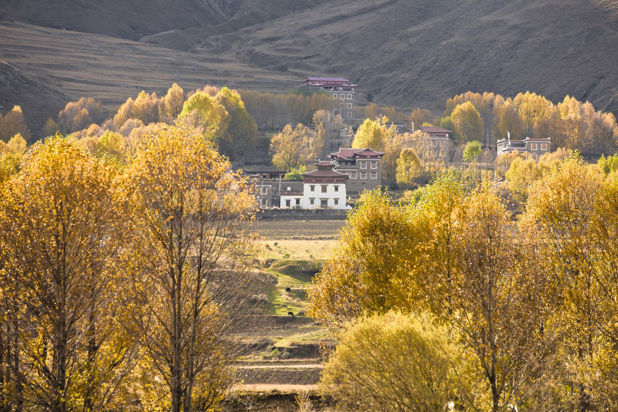 ttibetan village