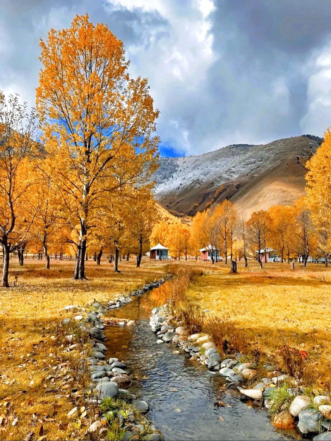 2026 Recommended Fall scenery in Xinduqiao Town 