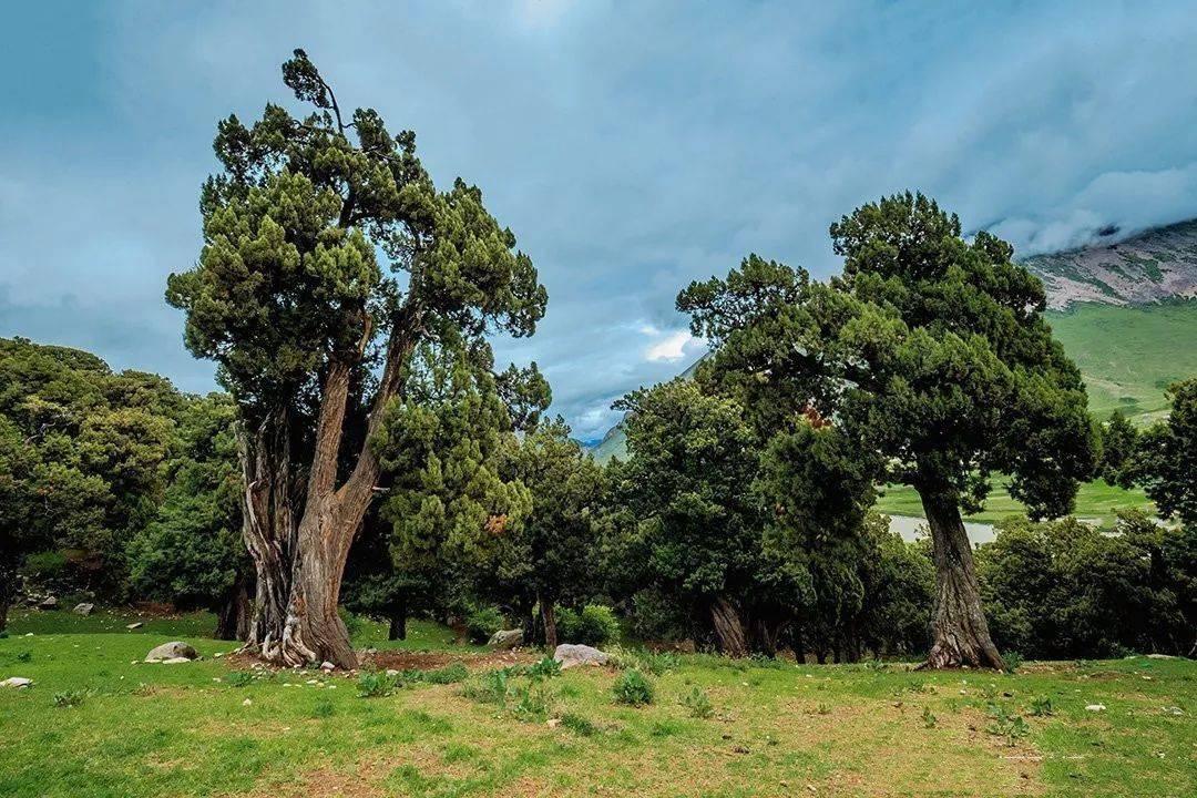 Bomi and Motuo in Autumn: A Journey Through Tibet’s Forests, Snow Mountains and Rainforests
