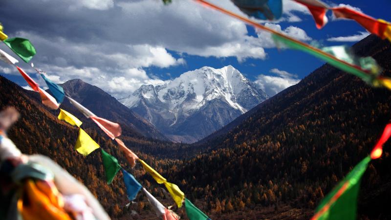 Autumn in Western Sichuan: 8 Golden Highland Grasslands & Where to Visit