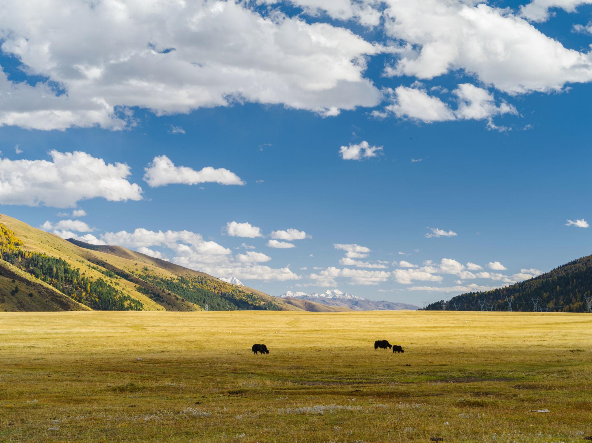 Beautiful landscape of Longdeng prairie in Sichuan, China.