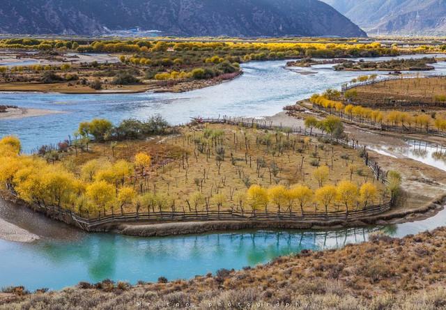 Bomi and Motuo in Autumn: A Journey Through Tibet’s Forests, Snow Mountains and Rainforests