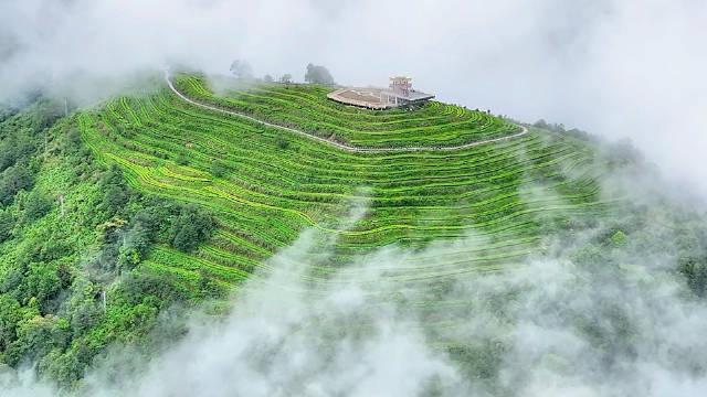 Bomi and Motuo in Autumn: A Journey Through Tibet’s Forests, Snow Mountains and Rainforests