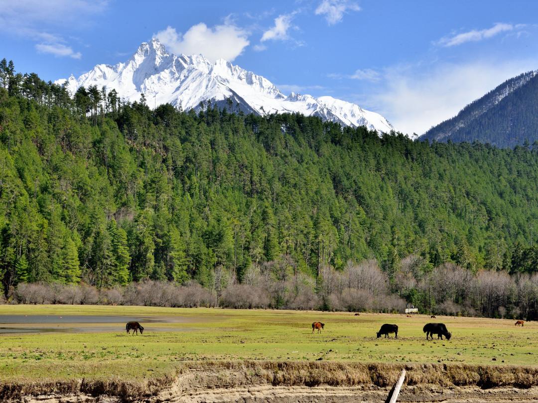Bomi and Motuo in Autumn: A Journey Through Tibet’s Forests, Snow Mountains and Rainforests