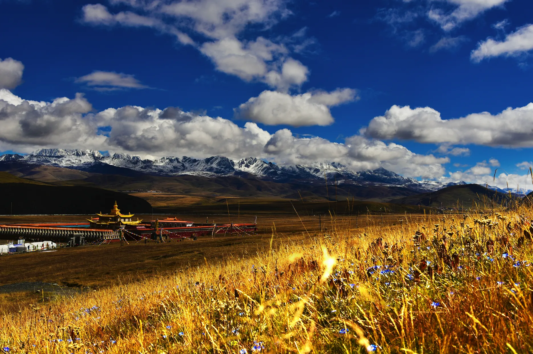 Autumn in Western Sichuan: 8 Golden Highland Grasslands & Where to Visit