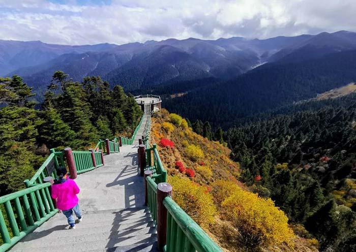 Bomi and Motuo in Autumn: A Journey Through Tibet’s Forests, Snow Mountains and Rainforests