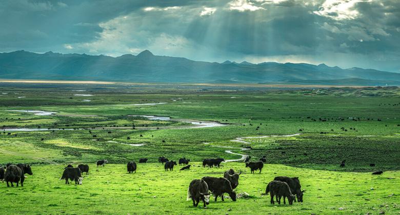 Sichuan-Tibet-Bahn: Die Hochgeschwindigkeitsstrecke von Chengdu nach Lhasa kommt bald