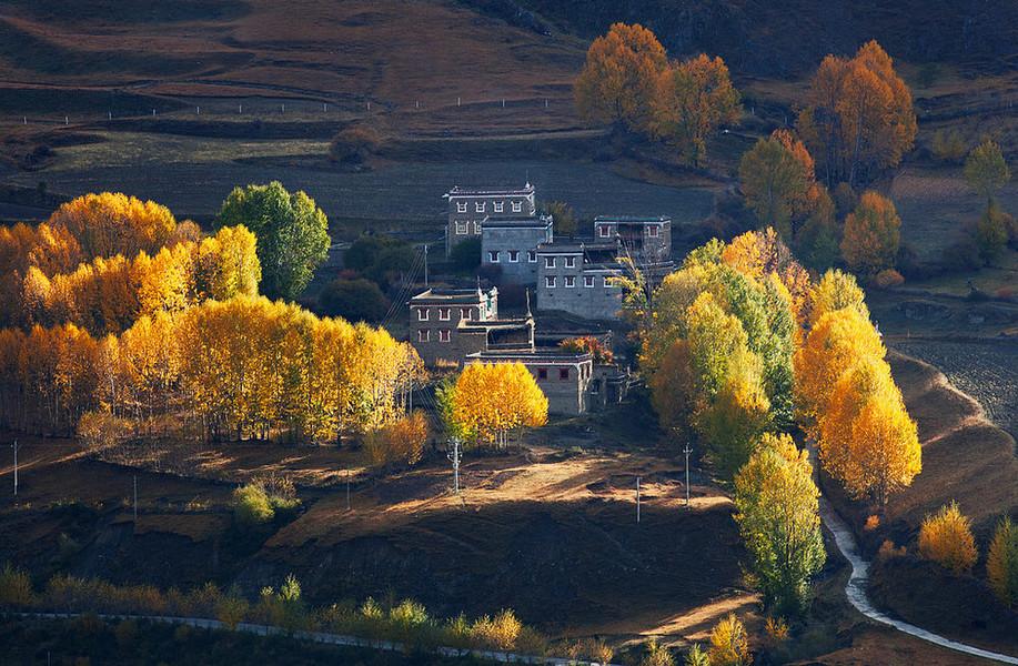 3 Days in Western Sichuan: An Autumn Loop of Snow Mountains, Golden Forests and Tibetan Villages