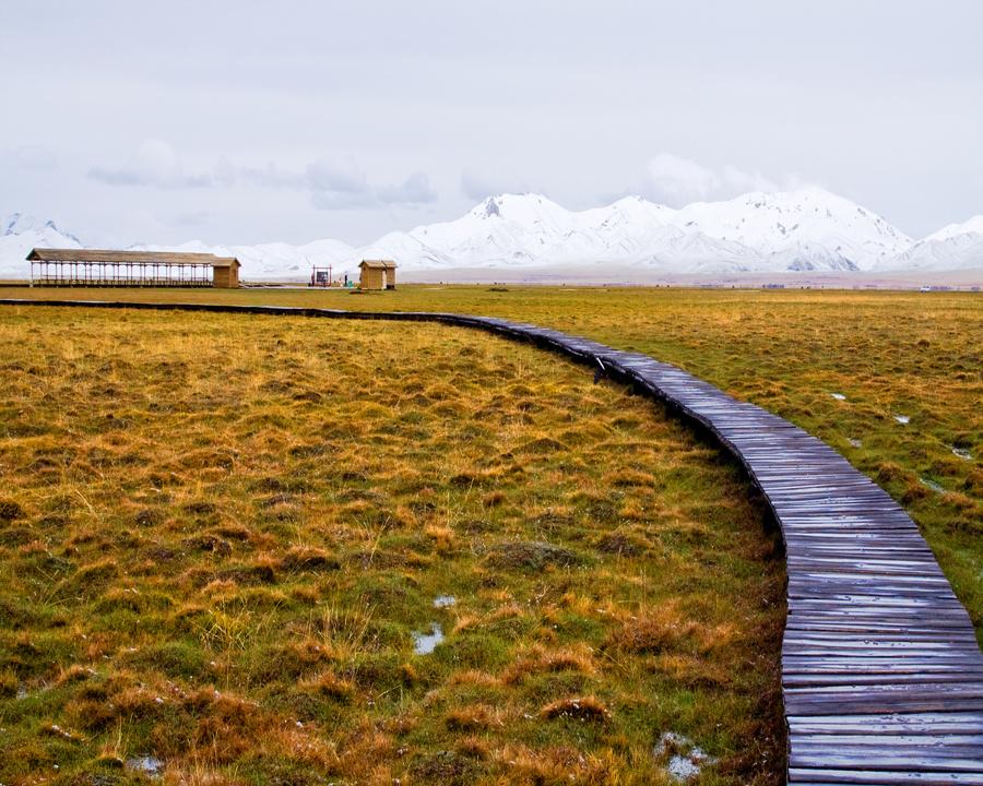 Autumn in Western Sichuan: 8 Golden Highland Grasslands & Where to Visit