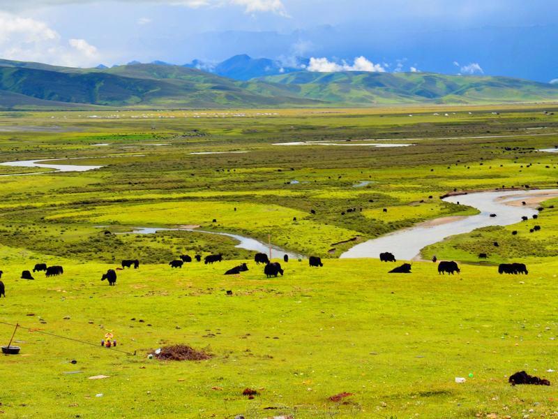 8-Day Chengdu to Daocheng Yading Tour: Hike & Horseback in Yading Reserve