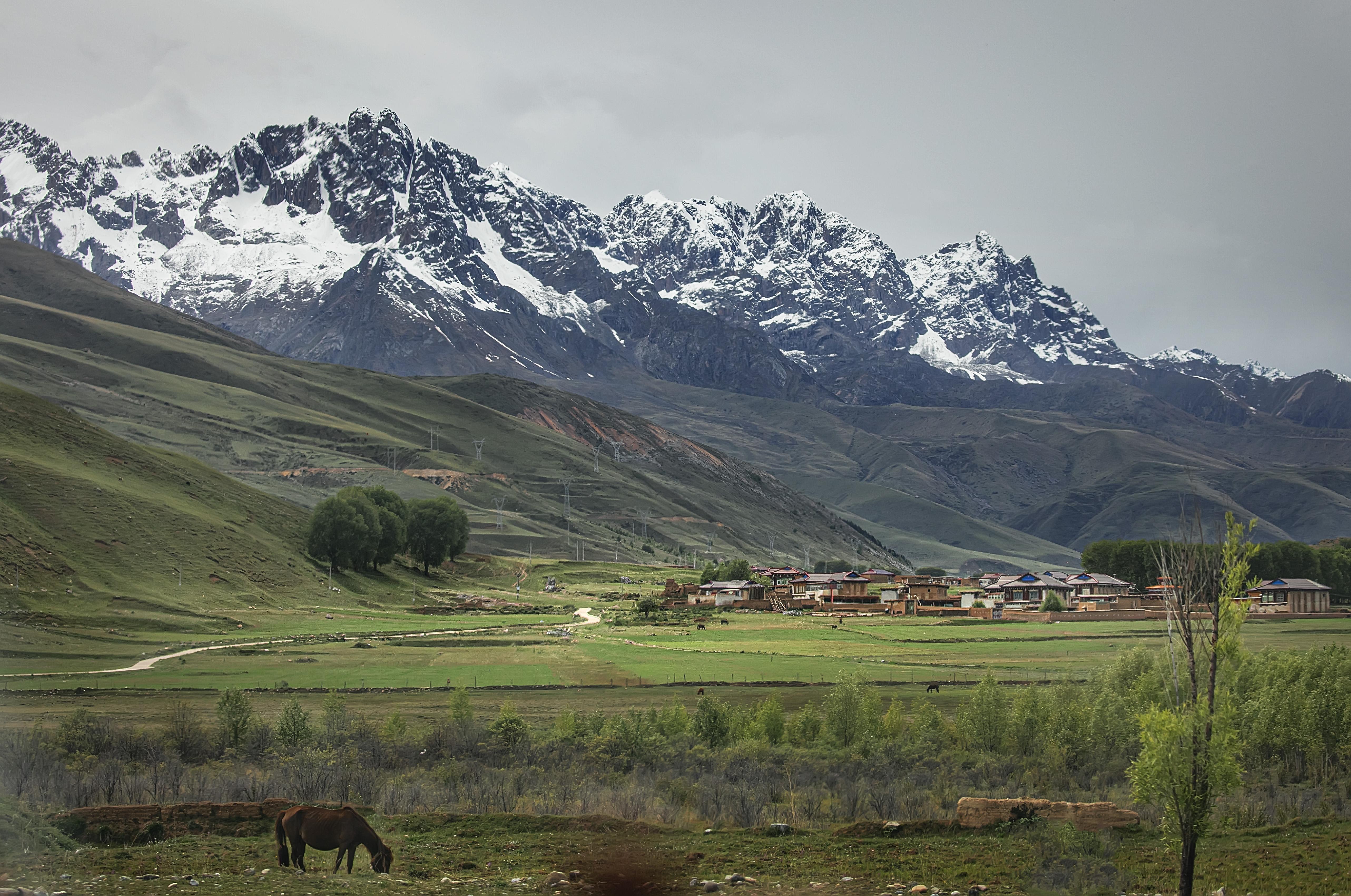 Autumn in Western Sichuan: 8 Golden Highland Grasslands & Where to Visit